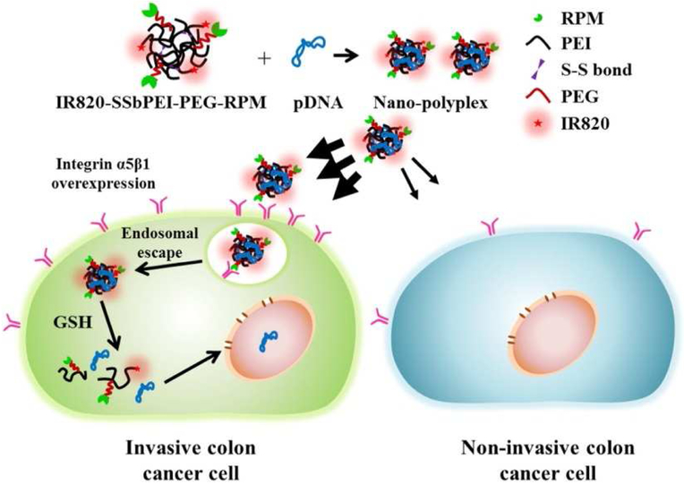 Figure 4: