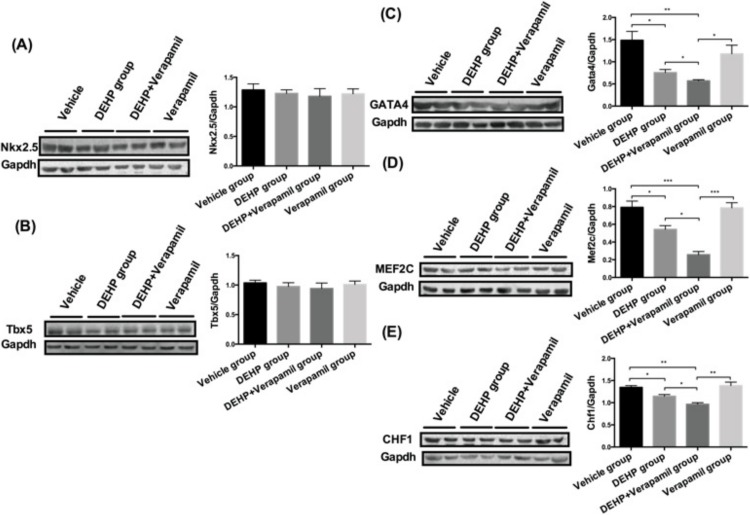 Fig 5