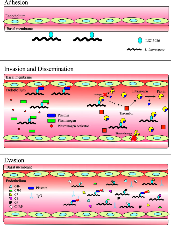 Figure 10