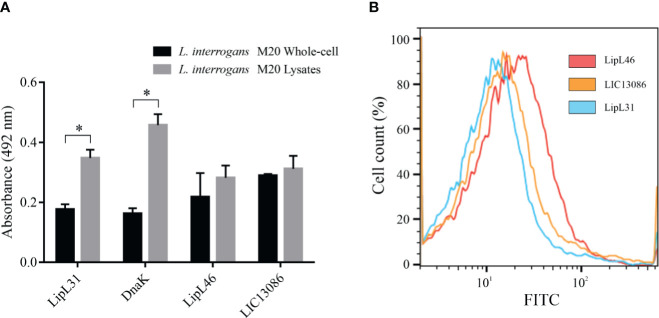 Figure 3