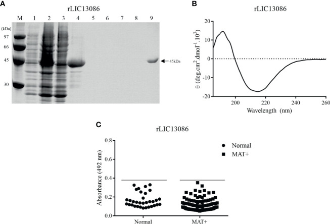 Figure 2