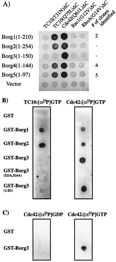 FIG. 3