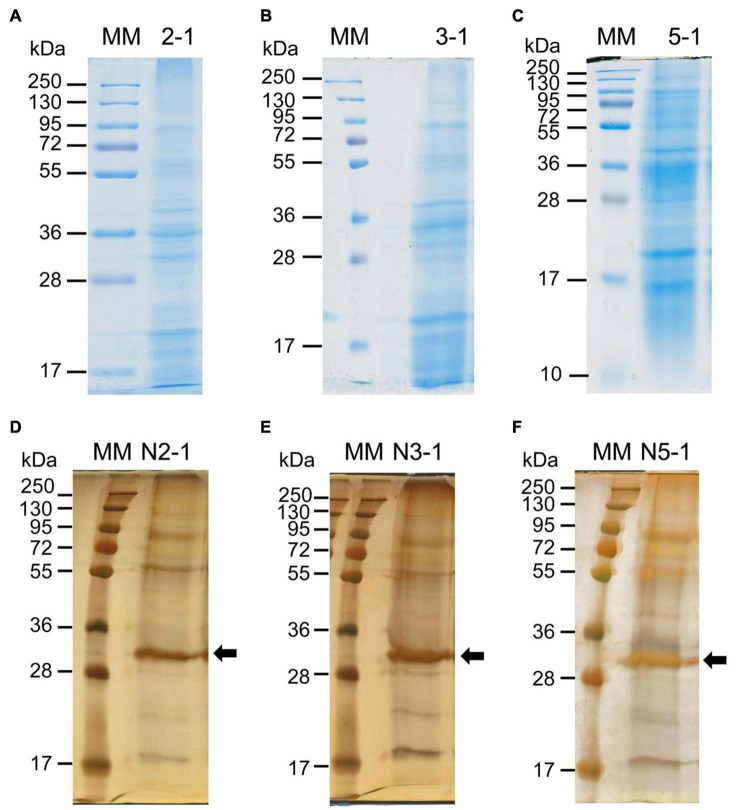 FIGURE 3