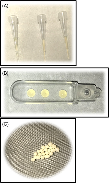 FIGURE 2