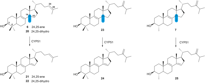 Figure 6