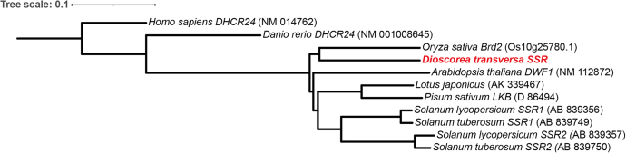 Figure 2