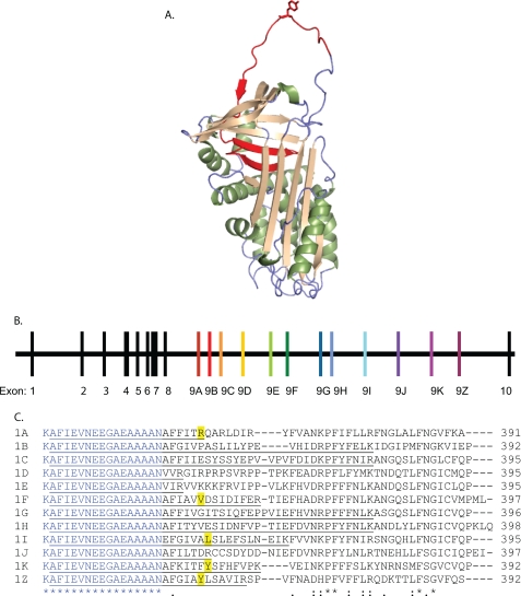 FIGURE 1.