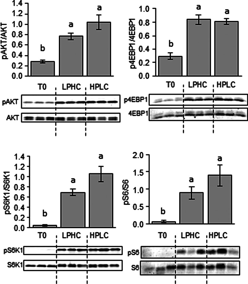 FIG. 6.