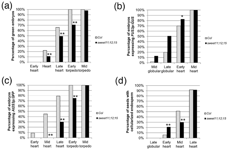 Figure 6: