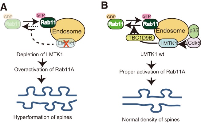 Figure 10.