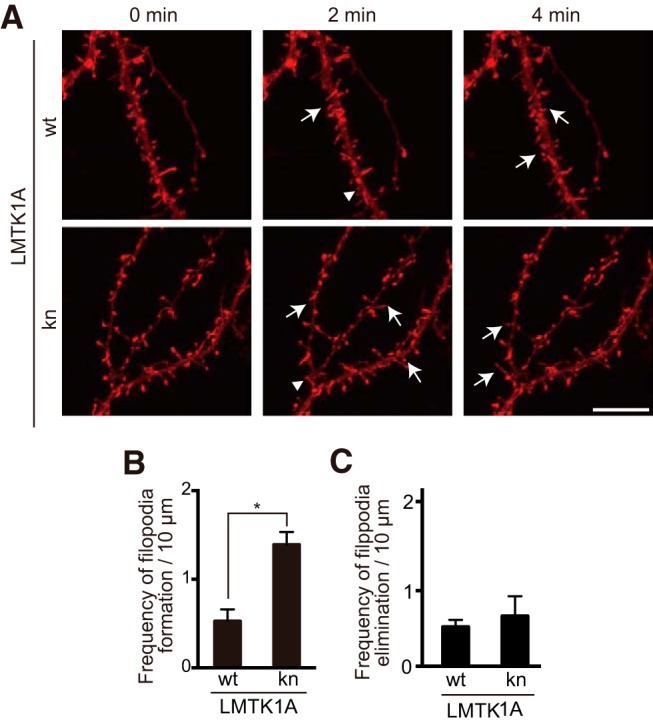 Figure 5.