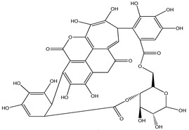 graphic file with name pharmaceuticals-16-00908-i011.jpg