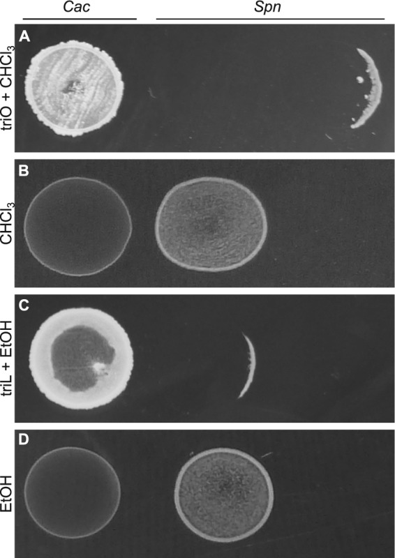 FIG 3 