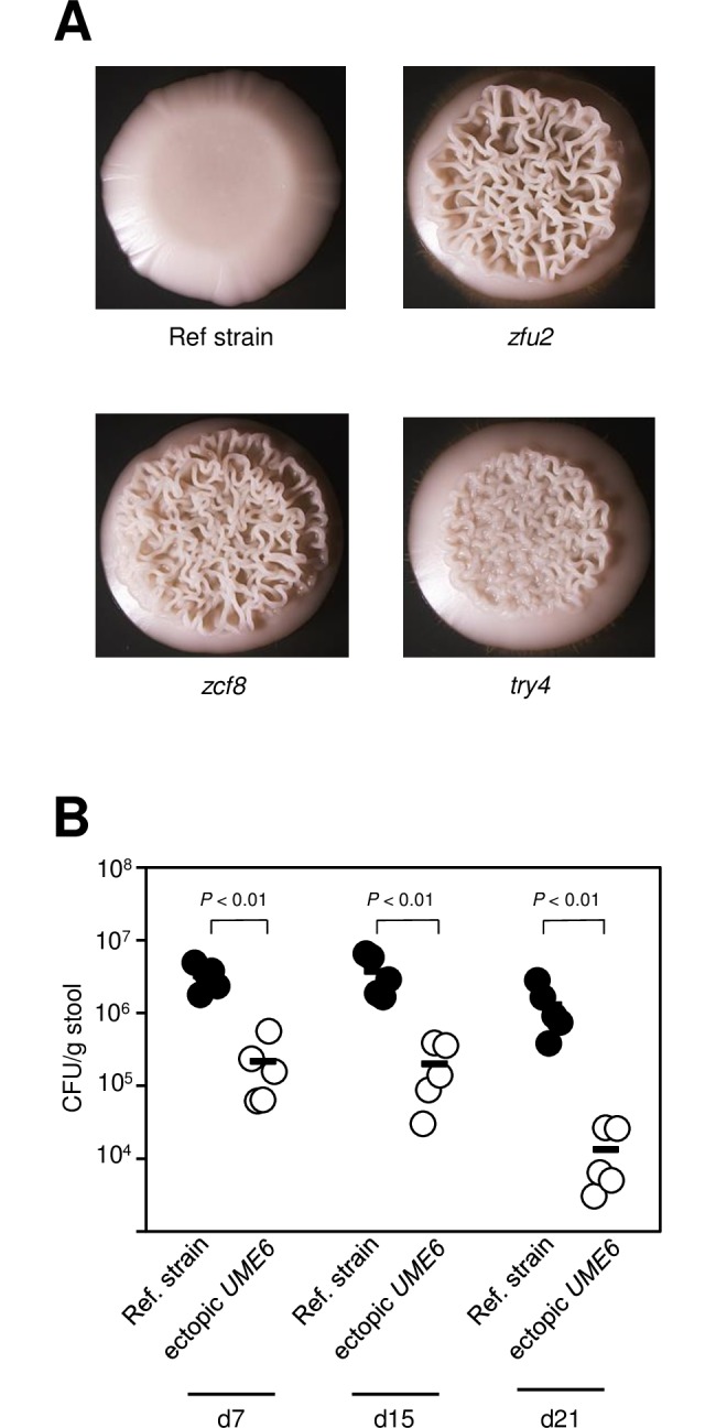 Fig 4