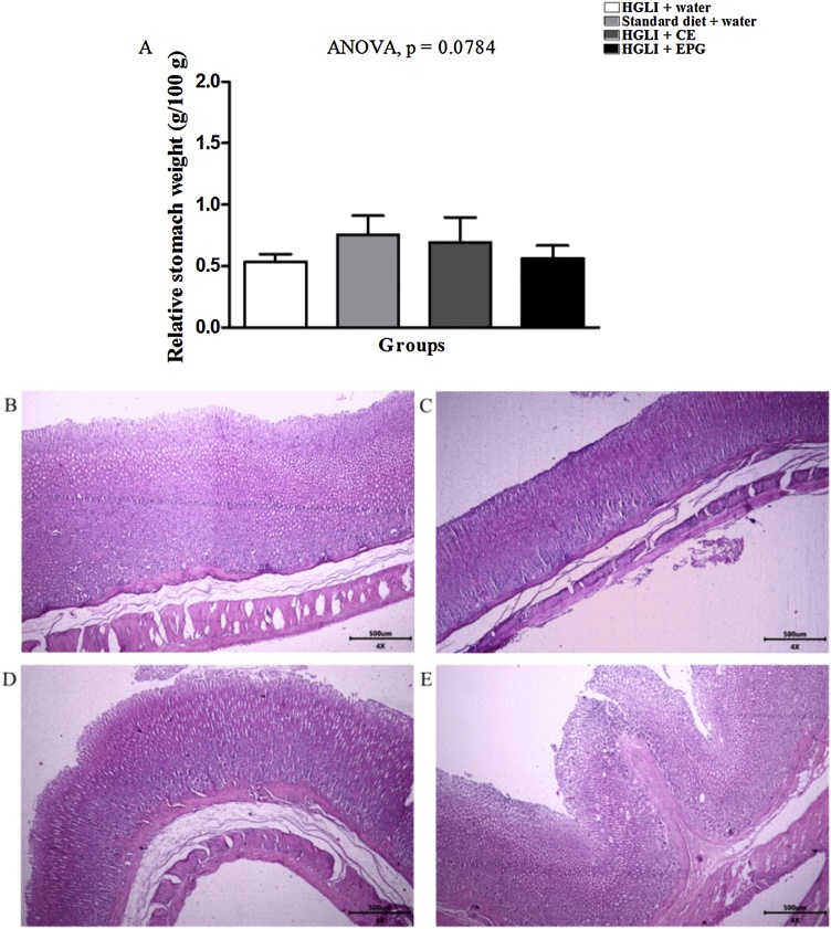 Fig. 9