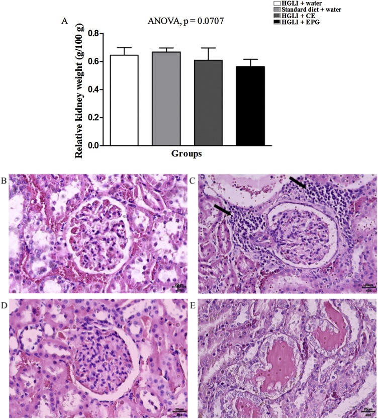 Fig. 8