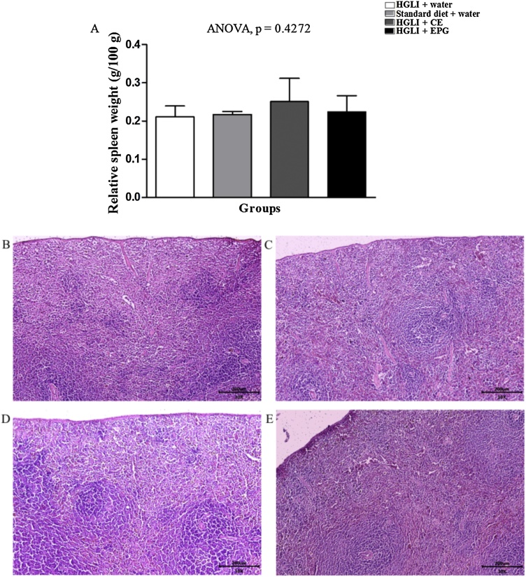 Fig. 10