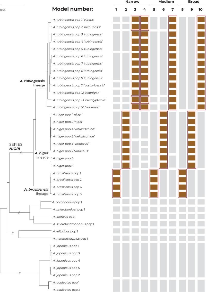 Fig. 7.