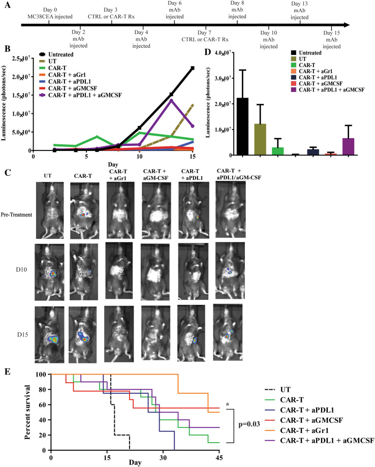 Fig. 6