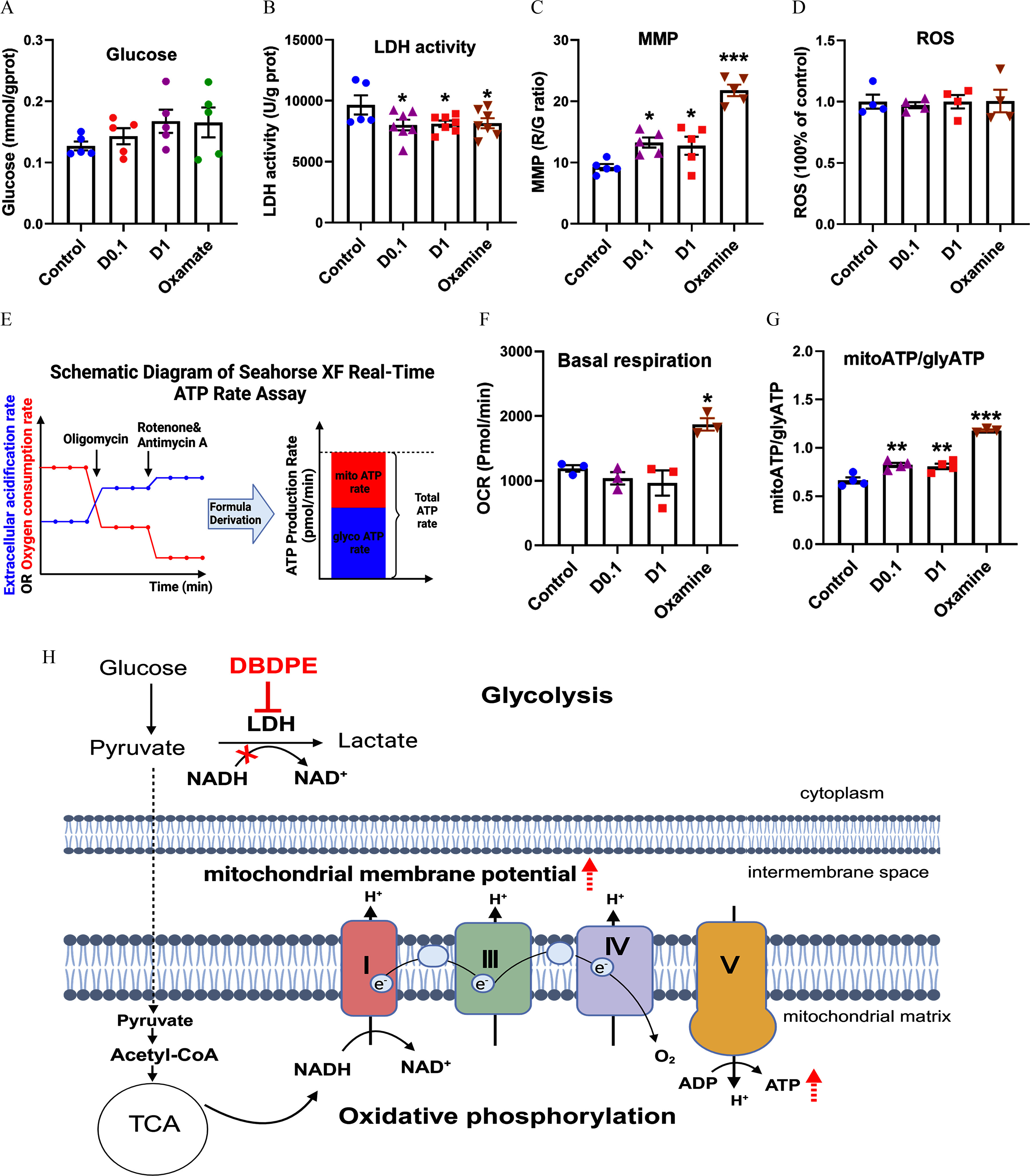 Figure 9A, 9B, 9C, 9D, 9F, and 9G are bar graphs, plotting glucose (millimoles per gram protein), ranging from 0.0 to 0.3 in including 0.1; L D H activity (units per gram protein), ranging from 0 to 15,000 in increments of 5,000; M M P (R to G ratio), ranging from 0 to 30 in increments of 10; R O S (100 percent of control), ranging from 0.0 to 1.5 in increments of 0.5; O C R (picomoles per minute), ranging from 0 to 3,000 in increments of 1,000; and mitochondrial A T P per glycolytic A T P, ranging from 0.0 to 2.0 in increments of 0.5 (y-axis) across control, 0.1 decabromodiphenyl ethane, 1 decabromodiphenyl ethane, and oxamate (x-axis) for glucose, L D H activity, M M P, R O S, basal respiration, and mitochondrial A T P per glycolytic A T P. Figure 9E is a schematic illustration depicting the Seahorse X F real-time A T P rate assay displaying two graphs. On the left, a line graph plots extracellular acidification rate OR oxygen consumption rate (y-axis) across time (minutes) (x-axis) oligomycin and rotenone and antimycin A. A formula derivation is conducted. On the right, a stacked bar graph plots A T P production rate (picomoles per minute) (y-axis) across ATP rate (x-axis) for mitochondrial A T P per glycolytic A T P under total A T P rate. Figure 9H is a scientific illustration of the effects of decabromodiphenyl ethane on glycolysis and oxidative phosphorylation, including mitochondrial membrane potential, cytoplasm, intermembrane space, and mitochondrial matrix, with upward dashed arrows representing elevation and a cross represents inhibition. Glucose converted to pyruvate. The pyruvate produced acetyl-CoA, which resulted in T C A.