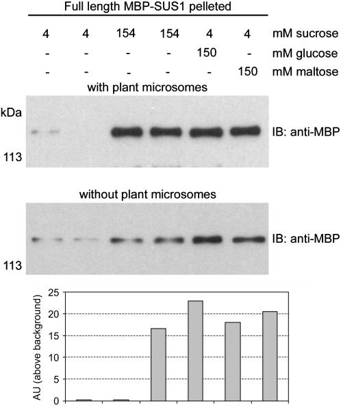 Figure 9.