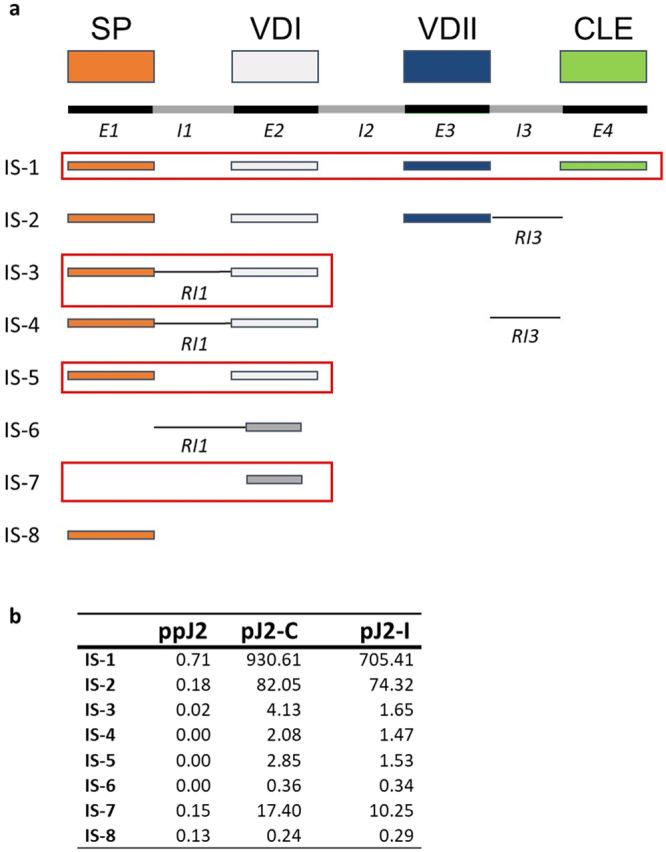 Figure 6