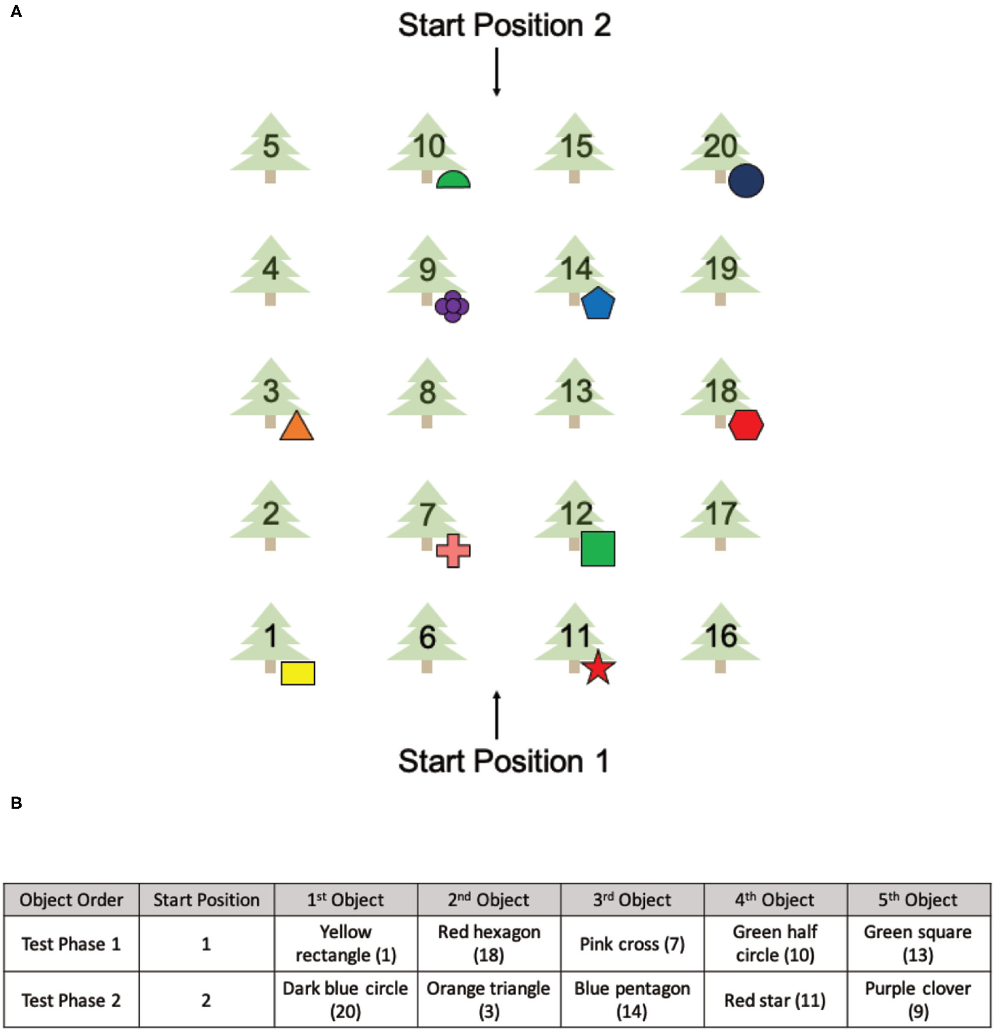 FIGURE 2 |