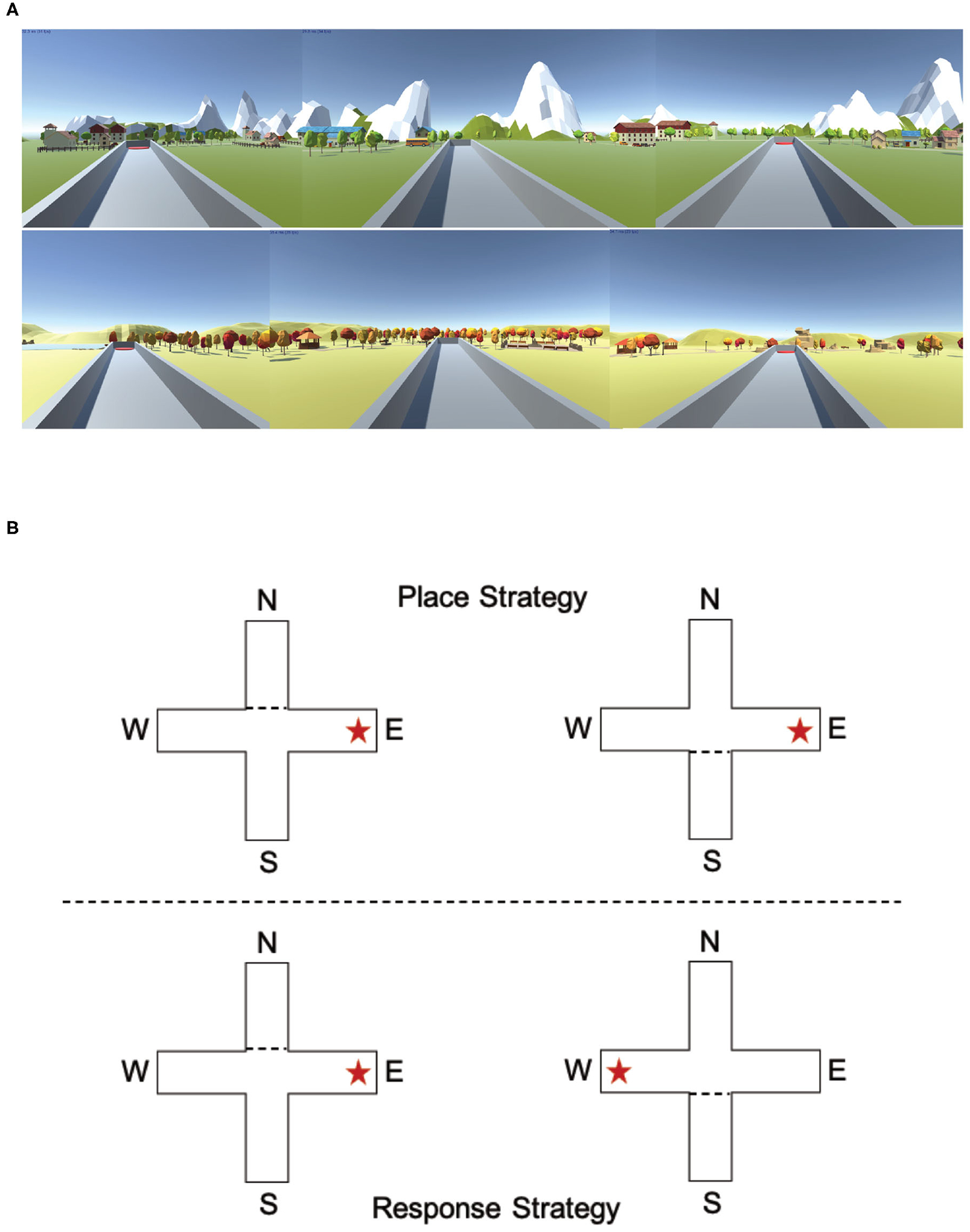 FIGURE 7 |