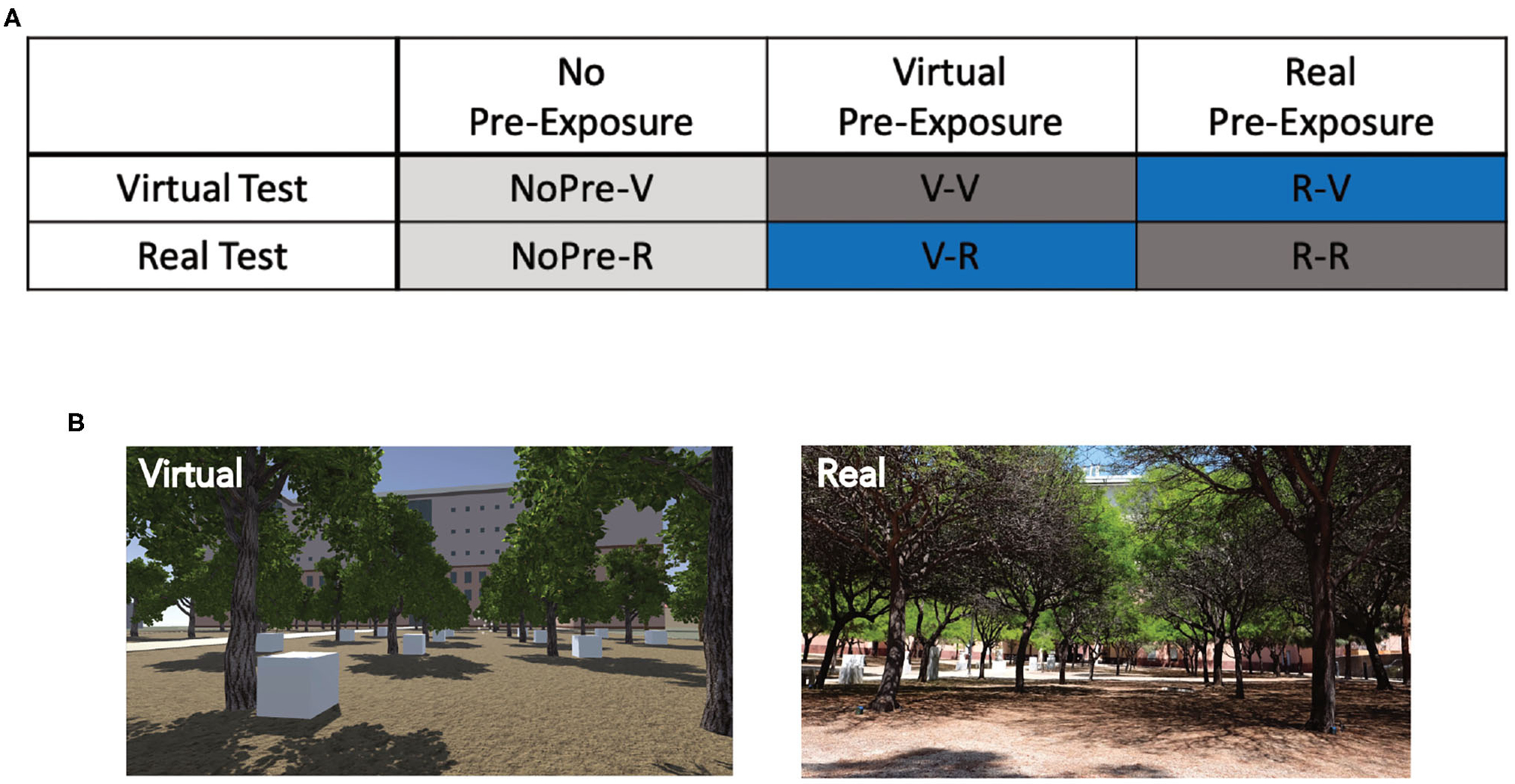 FIGURE 1 |