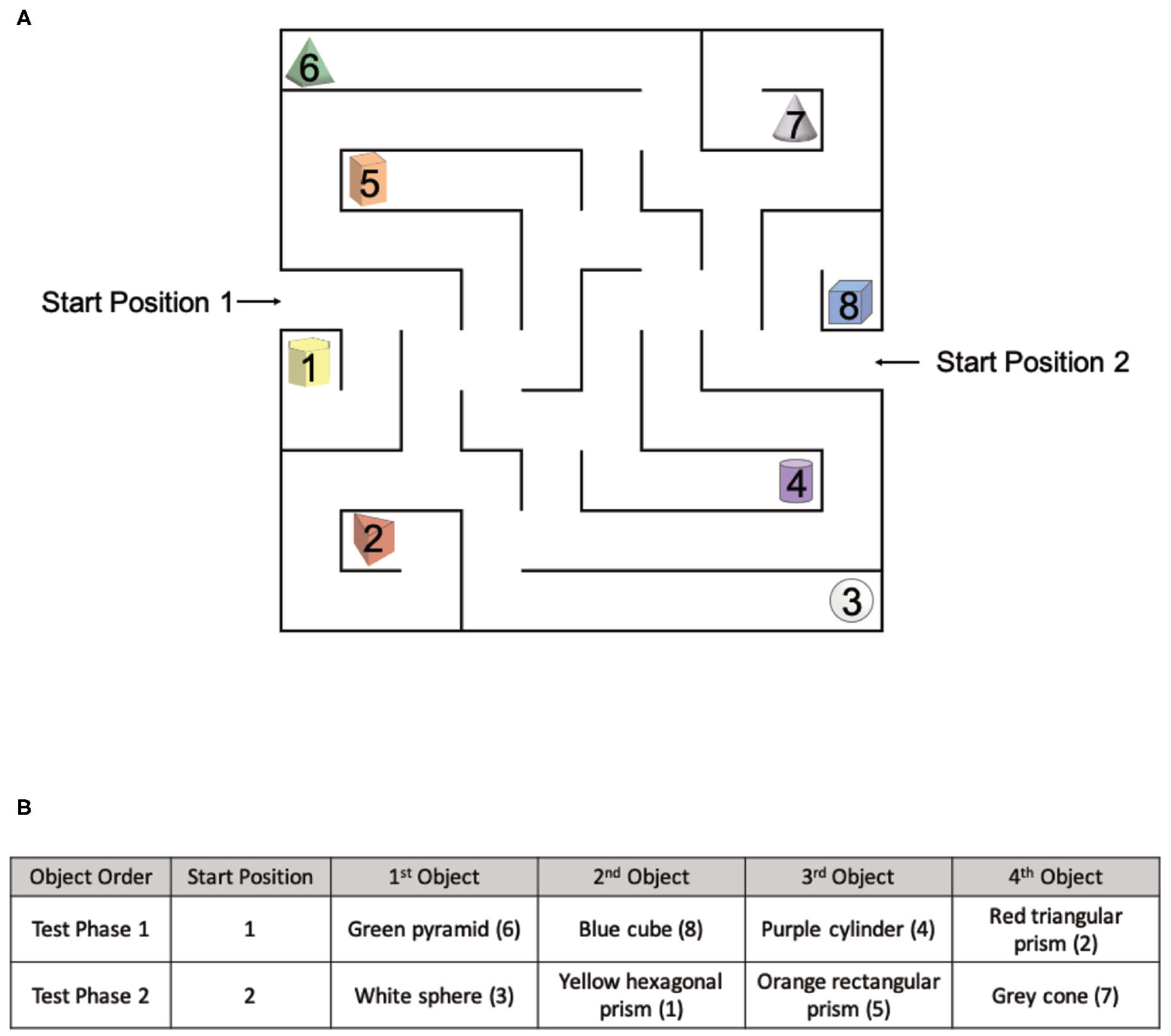 FIGURE 5 |