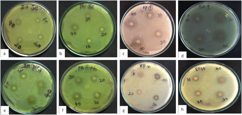 Fig. 3