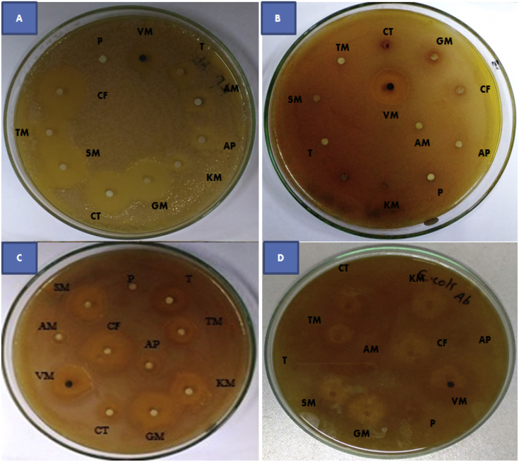 Fig. 1