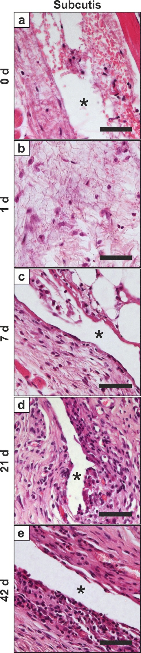 Fig. 10