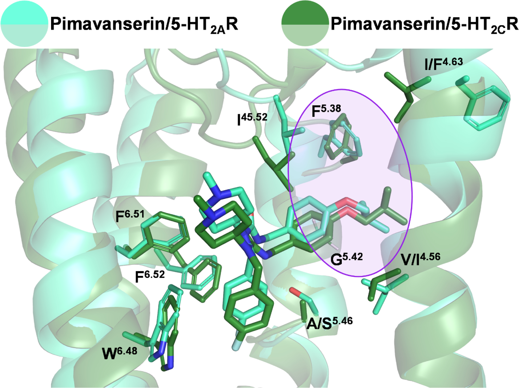 Figure 6: