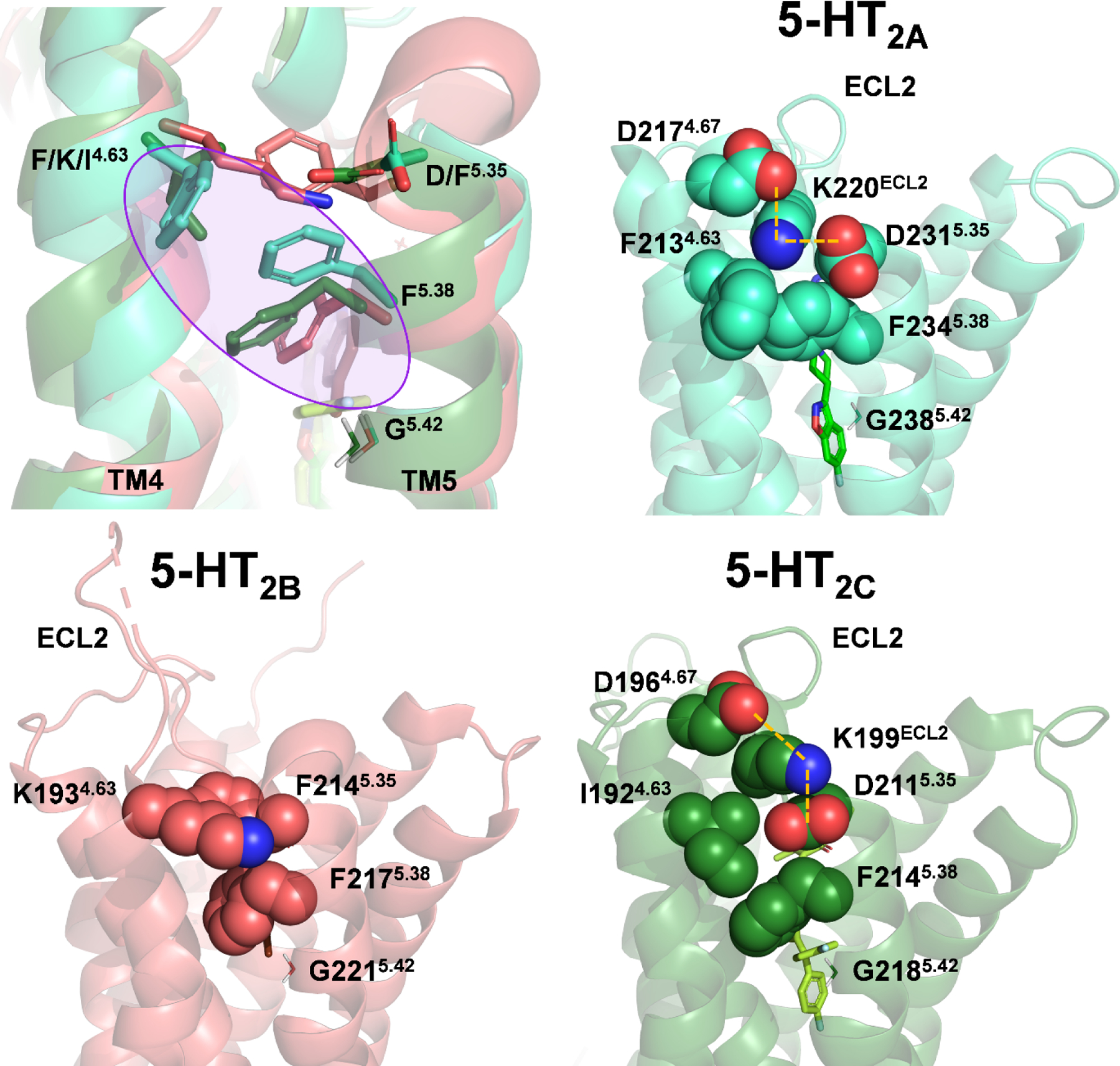 Figure 5: