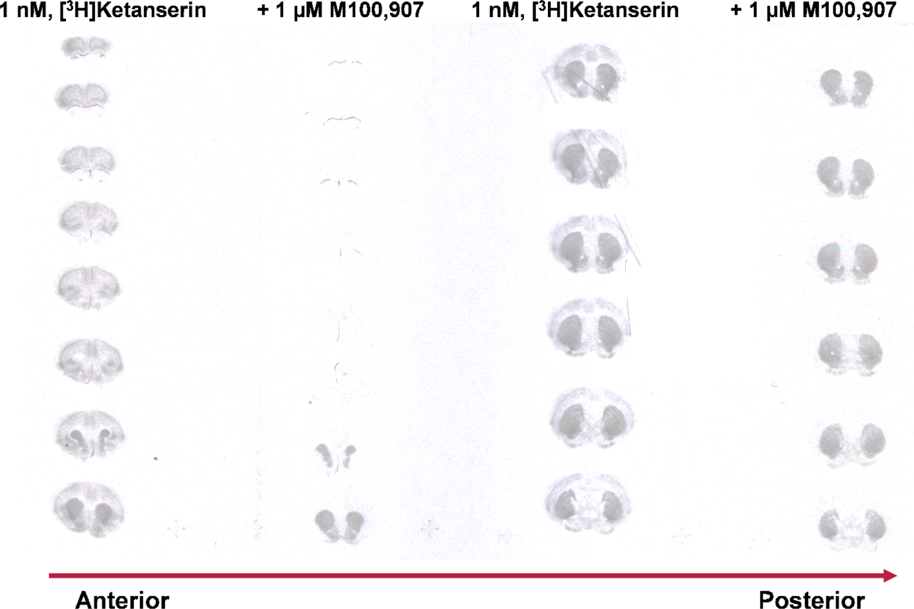 Figure 2: