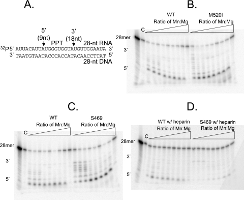 FIG. 6.