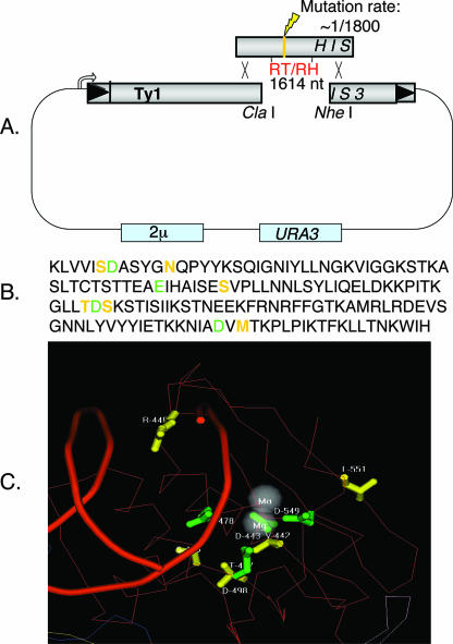 FIG. 1.