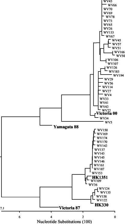 FIG. 1.