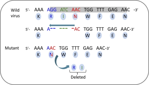 Fig 3