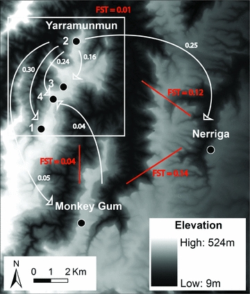 Figure 2