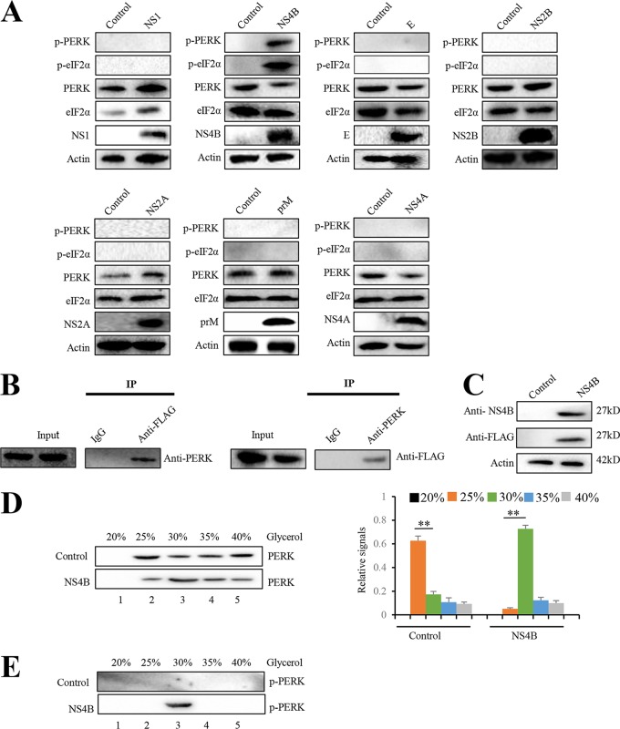 FIG 4