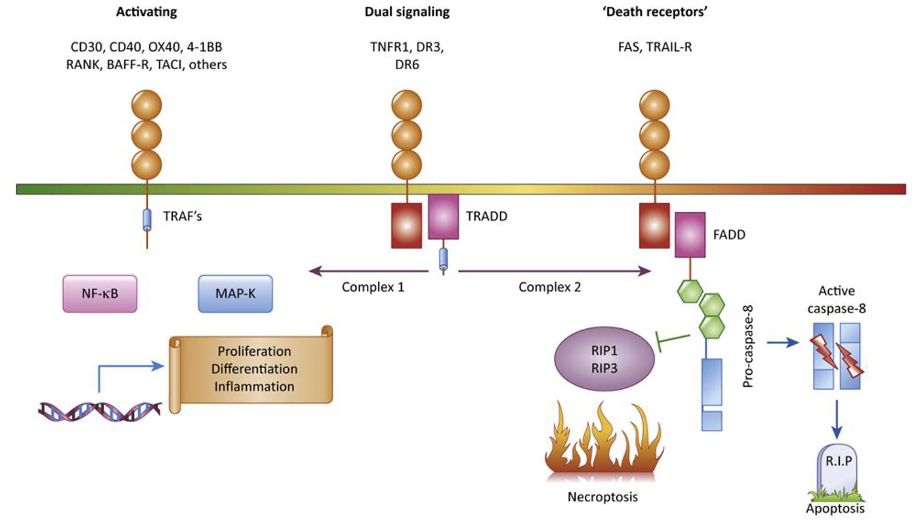 Figure 1: