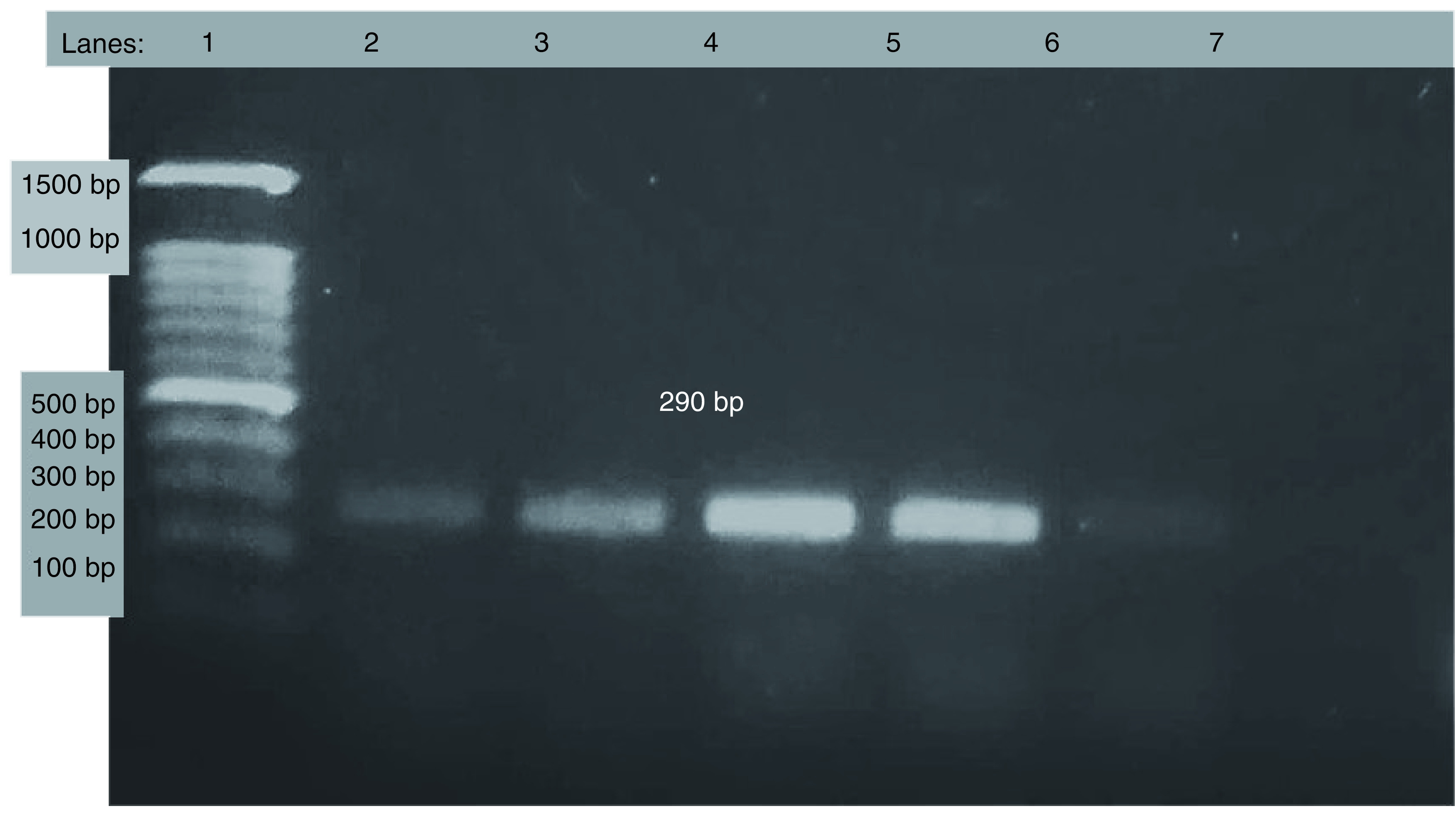 Figure 3. 