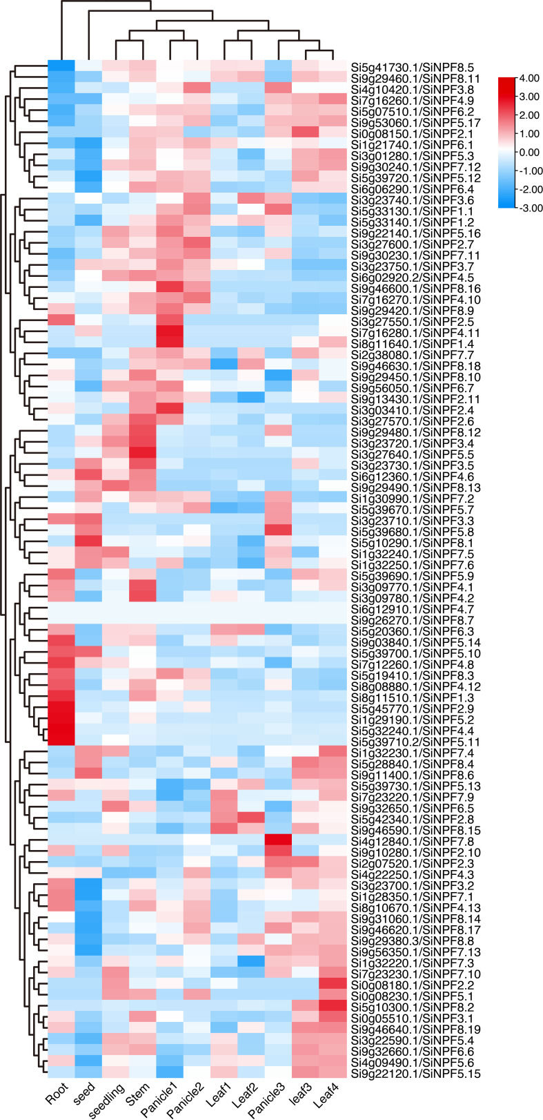 Figure 5