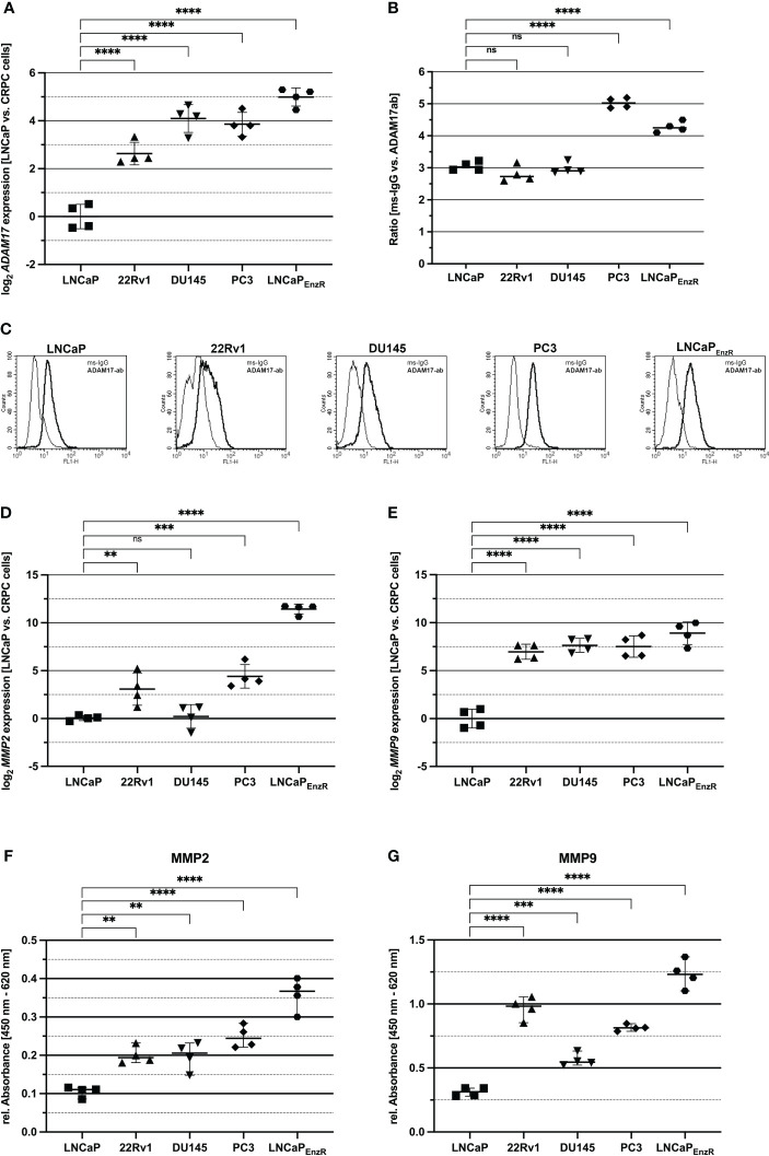 Figure 6