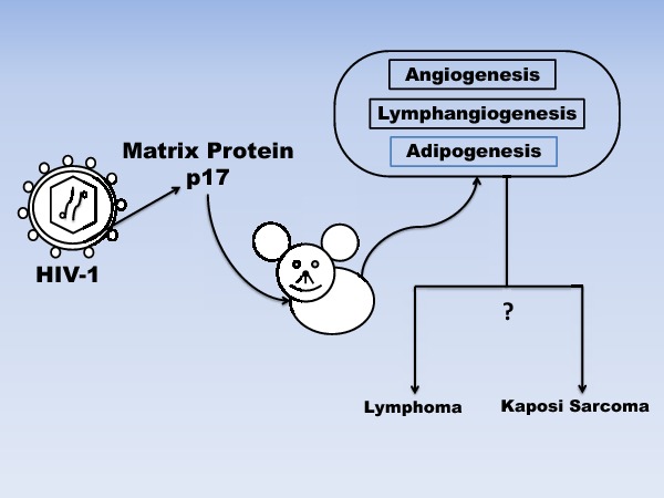 Graphical Abstract Figure.