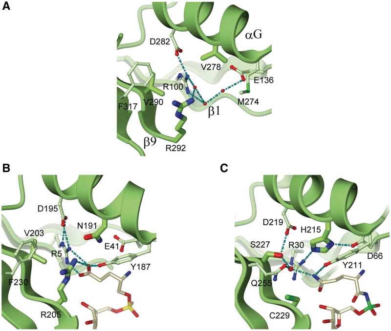 Figure 2.