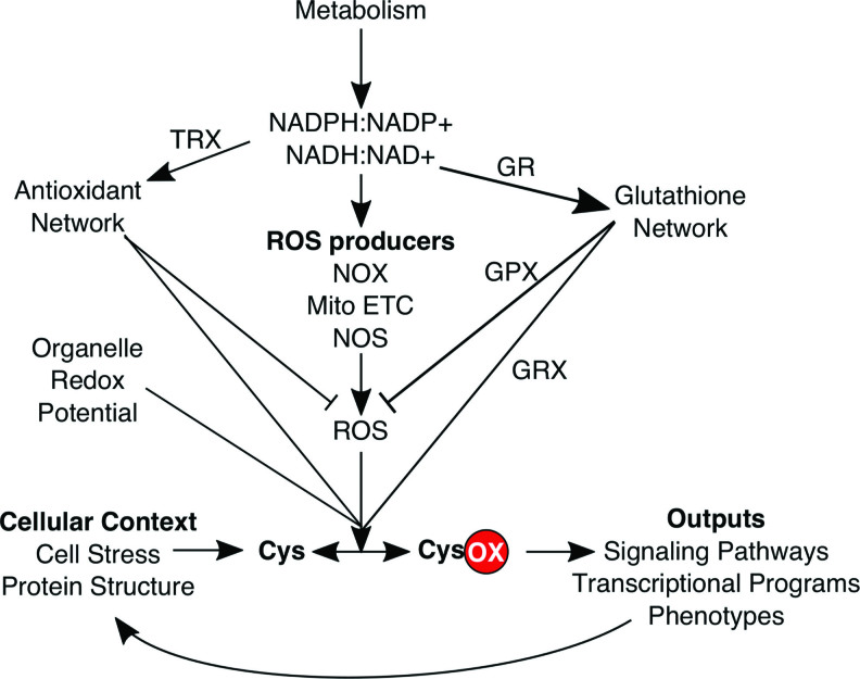 FIG. 2.