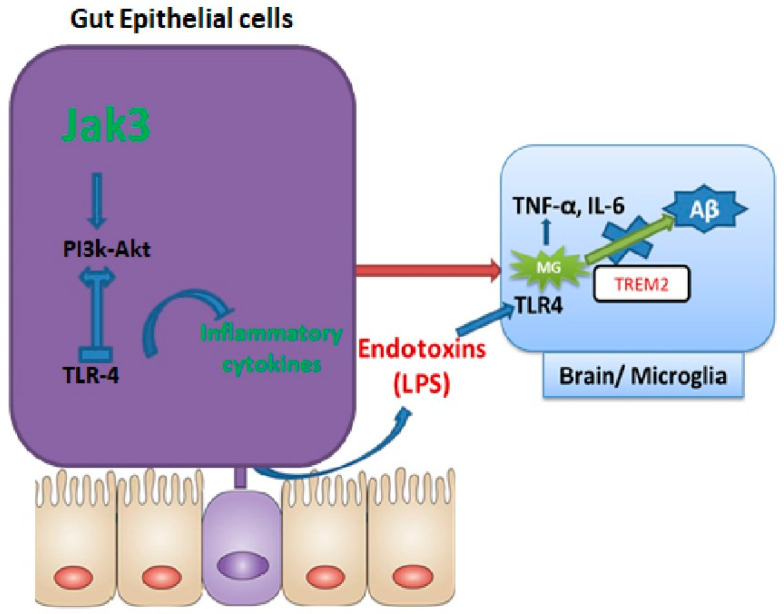 Figure 10